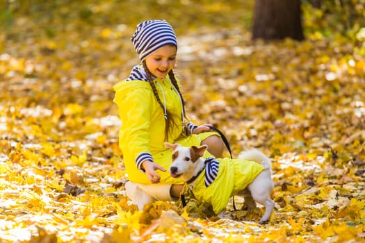 Child playing in autumn park with a jack russell terrier. Kid and jack russell dog.