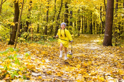 Child girl with dog outdoors. Kid with pet at autumn. Jack russell terrier puppy