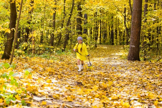 Child plays with Jack Russell Terrier in autumn forest. Autumn walk with a dog, children and pet.