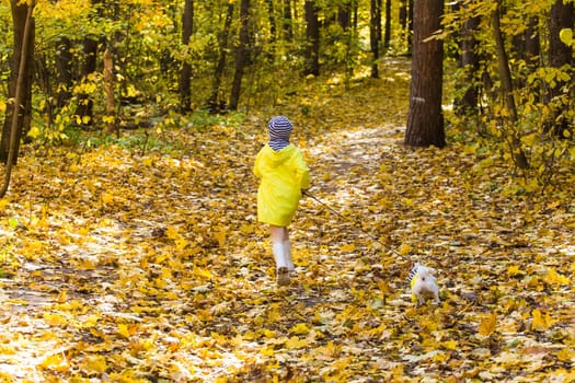 Portrait of a little girl on a background of orange and yellow leaves in an autumnal sunny day. Little puppy jack russell terrier. Pet and child concept.