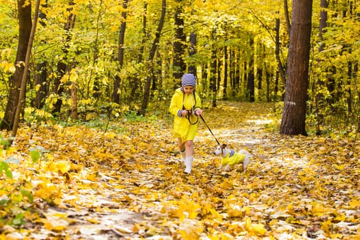 girl playing with her dog in autumn forest. Child and jack russell terrier dog.