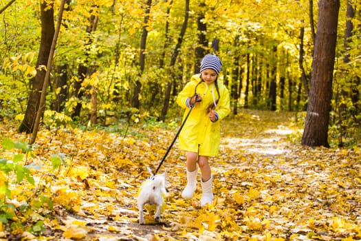 Child plays with Jack Russell Terrier in autumn forest. Autumn walk with a dog, children and pet.