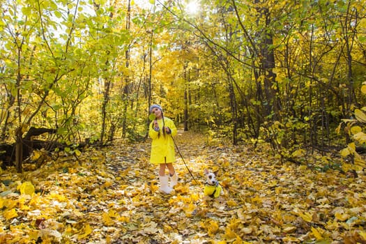 Child girl with dog outdoors. Kid with pet at autumn. Jack russell terrier puppy