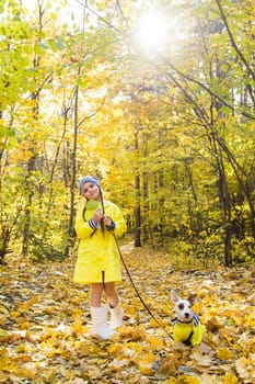 Child plays with Jack Russell Terrier in autumn forest. Autumn walk with a dog, children and pet.