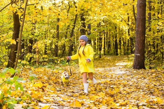 girl playing with her dog in autumn forest. Child and jack russell terrier dog.