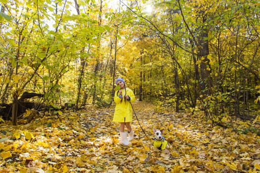 Girl with a dog jack russell terrier. Child, childhood, friendship and pet concept. Small dog walking in the autumn park.