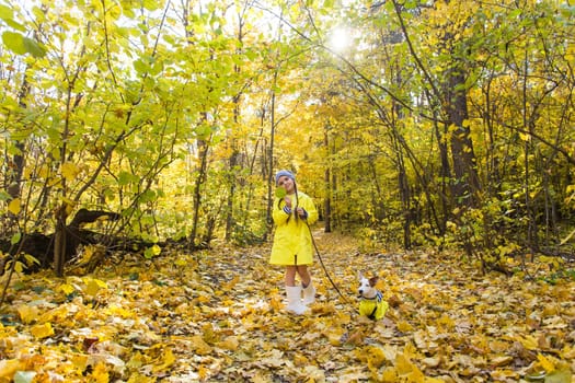 girl playing with her dog in autumn forest. Child and jack russell terrier dog.