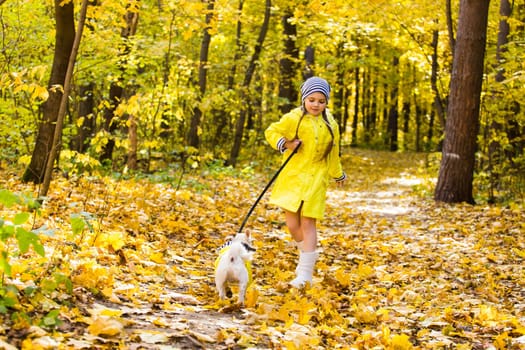 girl playing with her dog in autumn forest. Child and jack russell terrier dog.
