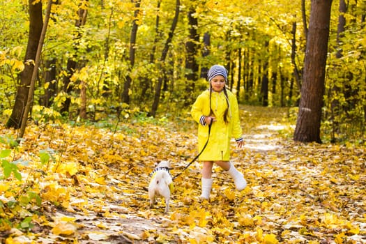 Child playing in autumn park with a jack russell terrier. Kid and jack russell dog.