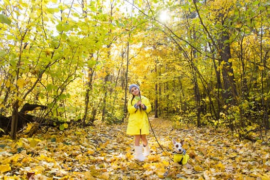 Child girl with dog outdoors. Kid with pet at autumn. Jack russell terrier puppy