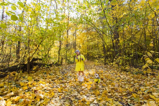 Child playing in autumn park with a jack russell terrier. Kid and jack russell dog.
