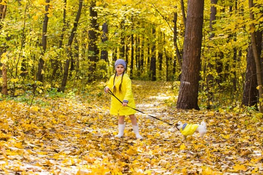 Girl with a dog jack russell terrier. Child, childhood, friendship and pet concept. Small dog walking in the autumn park.