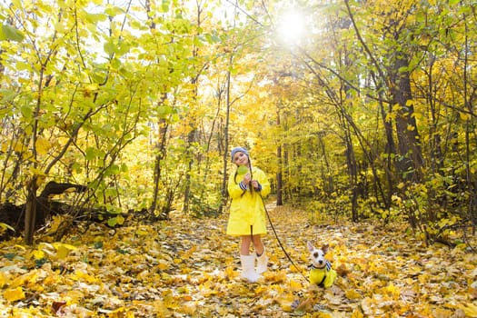 Girl with a dog jack russell terrier. Child, childhood, friendship and pet concept. Small dog walking in the autumn park.