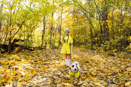 Child girl with dog outdoors. Kid with pet at autumn. Jack russell terrier puppy