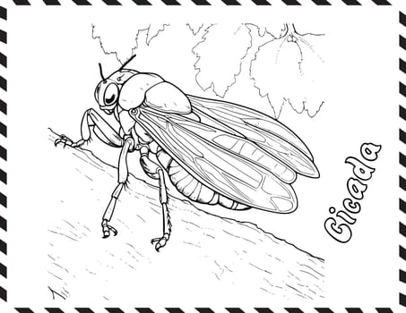 Cicada Coloring Page For Kids