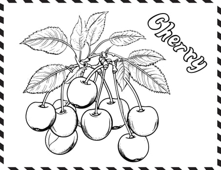 Cherry Coloring Page For Kids