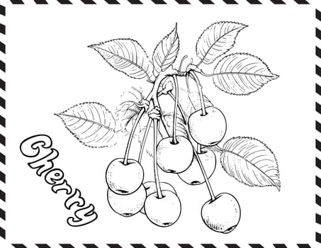 Cherry Coloring Page For Kids