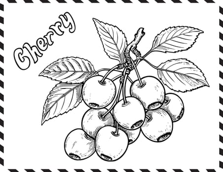 Cherry Coloring Page For Kids