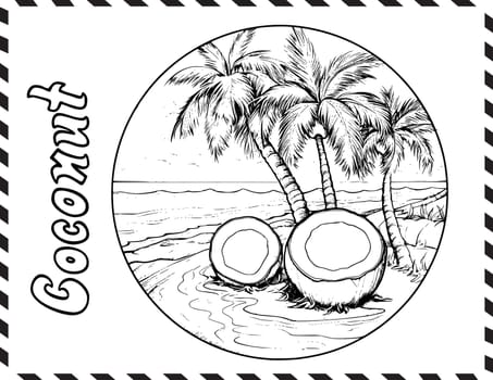 Coconut Coloring Page for Kids