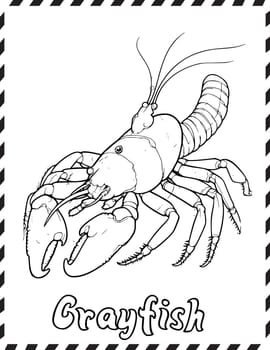 Crayfish Coloring Pages Drawing For Kids