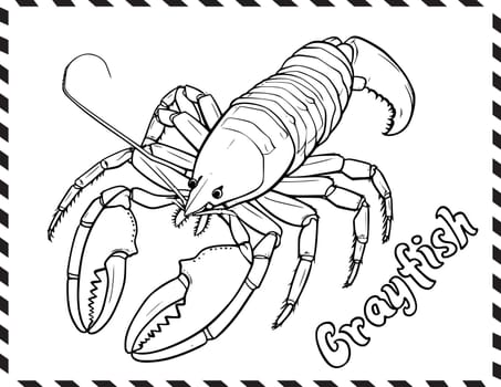 Crayfish Coloring Pages Drawing For Kids