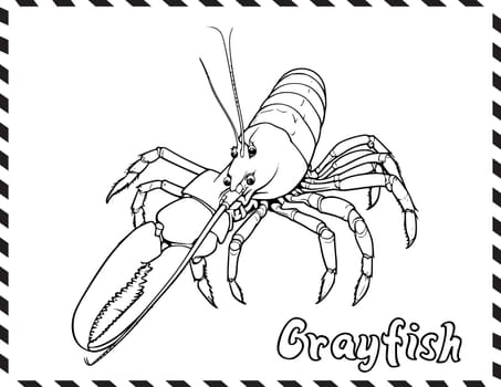 Crayfish In Sea Coloring Pages Drawing For Kids