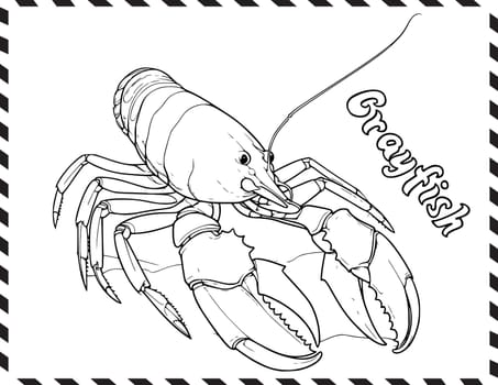 Crayfish In Sea Coloring Pages Drawing For Kids