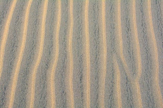 Wavy sand on a dune, full frame