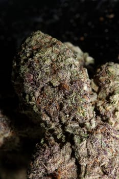 Cannabis bud close up medical grass smoking amazing purple flowering Cali forbidden fruit variety macro background high quality focus stack fifty megapixels instant prints
