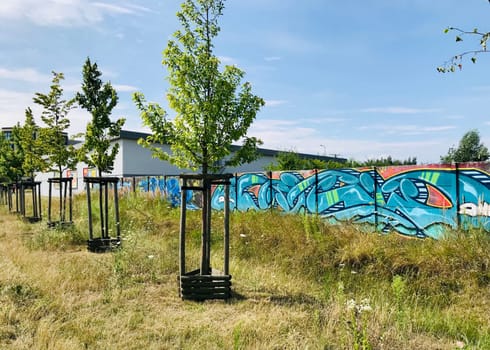 Poland, Wroclaw, 24 July, summer 2023. Graffiti in shades of blue on the fence in the city above the road.