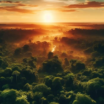 aerial shot of the lush green amazon rainforest at sunrise or sunset generative ai