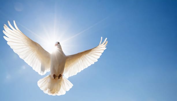White dove symbolic of peace and purity with space for text.