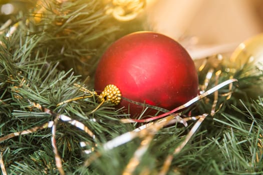 Red christmas decoration on the fir tree.