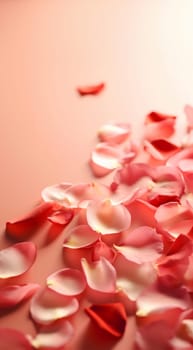 Pink rose petals on soft pink background. Petals of pink rose spa background. Realistic flying sakura cherry flower petals elements for romantic banner design. Copy space Valentine's Day concept. Space for text