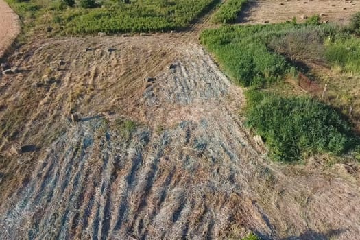 Rectangular bales of hay on the field. Hay harvest