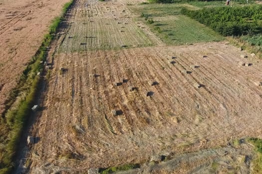 Rectangular bales of hay on the field. Hay harvest