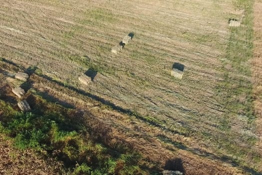 Rectangular bales of hay on the field. Hay harvest
