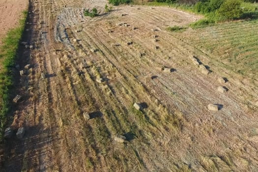 Rectangular bales of hay on the field. Hay harvest