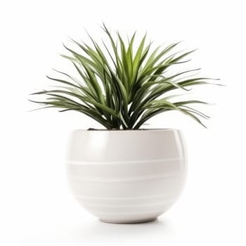 A beautiful and sustainable home accessory, a green plant in a modern white planter. Purifying your air and adding a touch of elegance to your space. AI Generative.