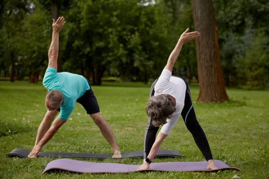 Senior couple doing warm-up exercises during physical therapy class on nature. Active pensioner of family healthy lifestyle