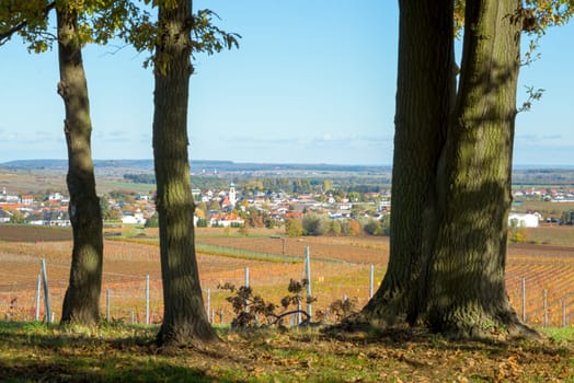 Autumn landscape with fog near village of Horitschon in Burgenland
