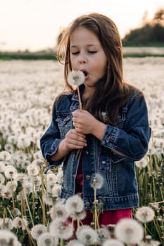 Delightful little girl in blue denim jacket holding white dandelion in hand standing among fluffy blooming and opening mouth to blow seeds of flower. Female child walking in blowballs. Vertical.