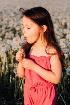 Gorgeous little girl wearing pink summer jumpsuit standing in field of white dandelions, holding one in hand and making wish. Cheerful child with brown long hair blowing fluffy flower. Vertical.
