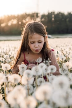 Charming girl with brown long hair walking in meadow of blowballs, leaning close to white flower and blowing seeds of dandelion. Little lady in pink summer clothes making wish. Vertical.