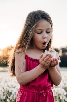 Concentrated little girl in pink jumpsuit standing in field full of white dandelions, holding fluffy blossoms in hands and blowing flowers. Active child with brown hair making wish. Vertical.