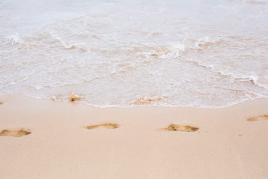 a lot of tracks on a sand of the beach