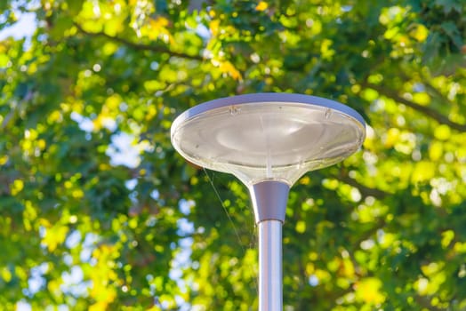 top of a street light