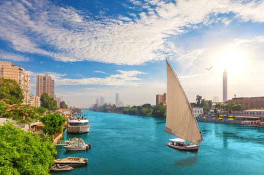 Traditional felucca board in the Nile, centre of Cairo, Egypt.