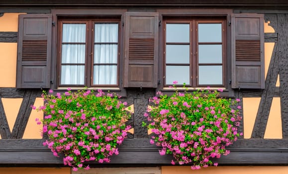 Windows with geraniums on the half-timbered house,Alsace, France