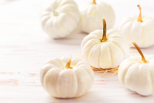 White pumpkins on wooden table, Thanksgiving and autumn decoration